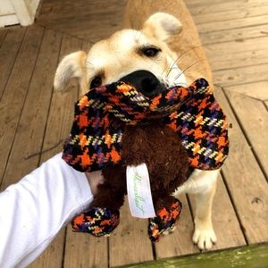 Meet your Posher, Ali